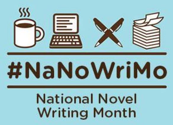 NaNoWriMo_blogsize_0_1